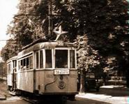 Az 56-oson  egy gy�ny�r� v�r�s csillaggal
