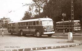GA 85-90