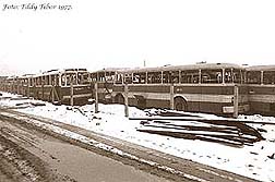 1977 febru�r