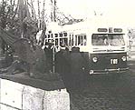 T 109