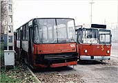 Selejtesen